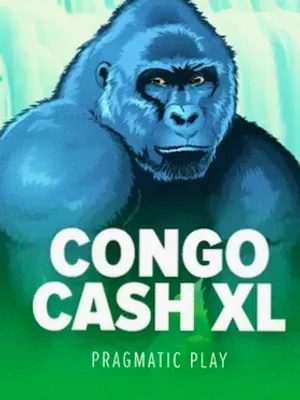 Congo Cash XL at Friday Friday